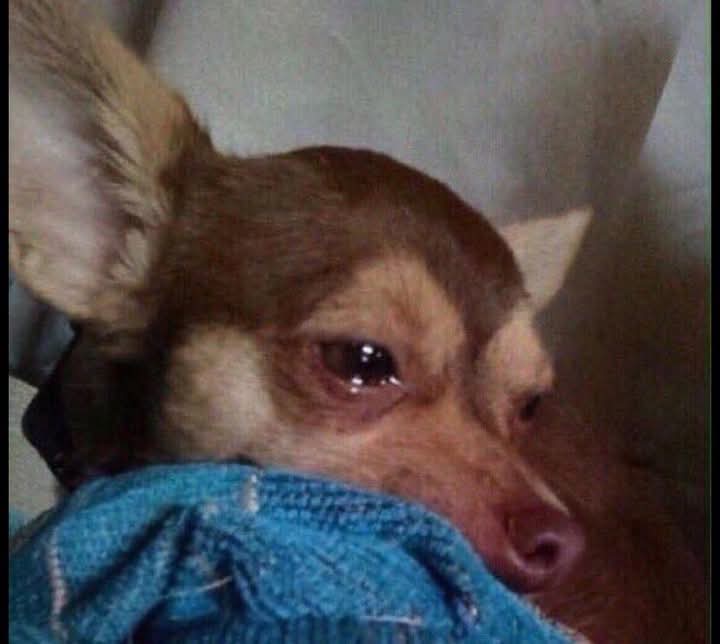 iamdalidavid's tweet image. Enkuba enkubyee mpa mu play 🥹😭😭😭