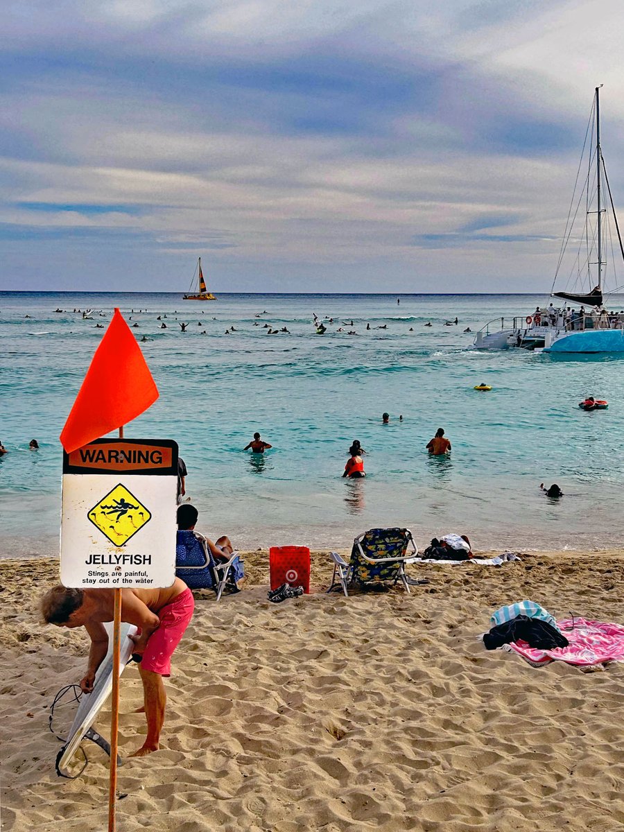 joeyartist's tweet image. You never know what you'll see in Waikiki!