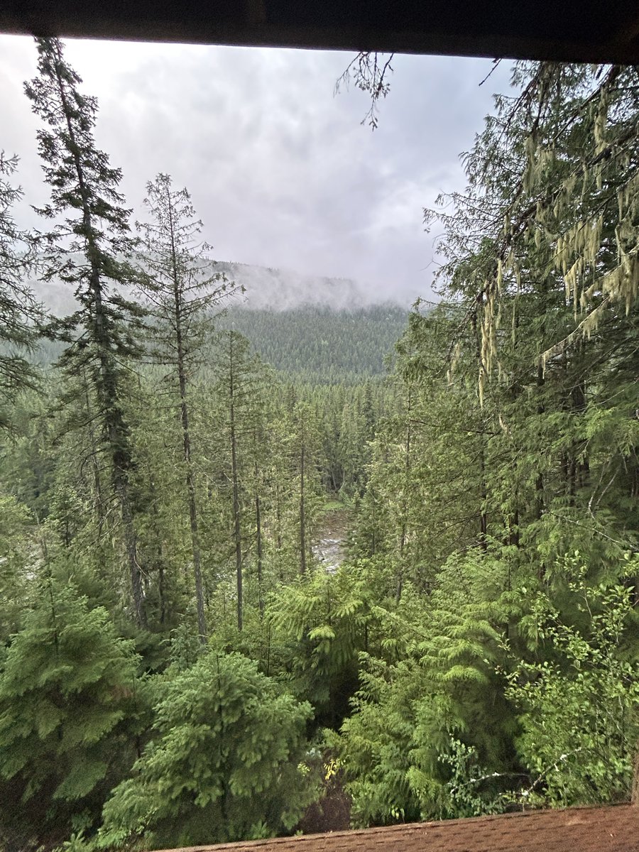 DesiraeC93's tweet image. Made it safely to the cabin in Montana. The pictures truly don’t do this place justice. It’s so fresh and beautiful out here. You can see and hear the river from the back porch and we’re an hour from the nearest town out in the woodsThe light rain just makes it all the more crisp…