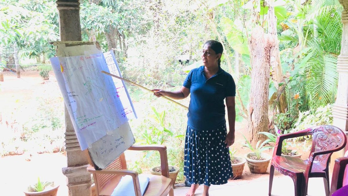 IFADAsia's tweet image. 🌱 The Farmer Field School started by @sarpsrilanka, an @IFAD-supported project in Sri-Lanka empowers farmers with hands-on learning across districts. Through an agro-ecosystem analysis, they assess field conditions &amp;amp; make smart decisions on #pest, #weather &amp;amp; #cropmanagement.