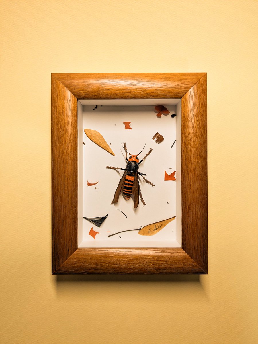 【美品】 紙技工房 ペーパークラフト 紙細工 昆虫 壁掛け アート作品 紙技工房の販売中作品一覧 | ハンドメイド通販・販売のCreema