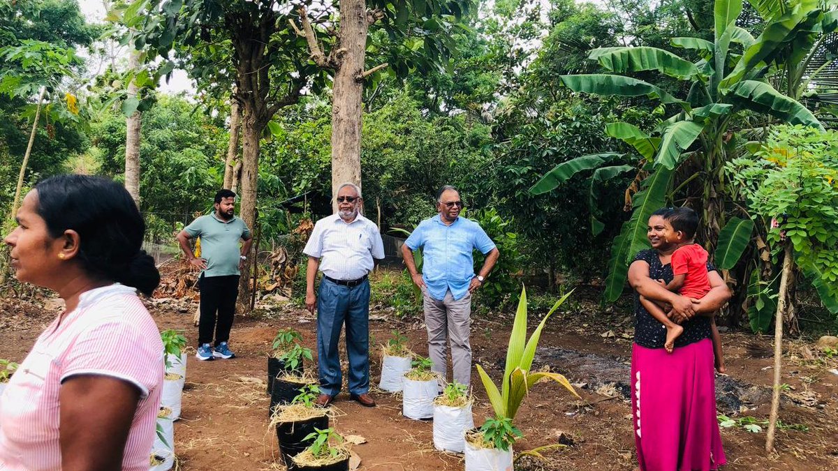 IFADAsia's tweet image. 🌱 The Farmer Field School started by @sarpsrilanka, an @IFAD-supported project in Sri-Lanka empowers farmers with hands-on learning across districts. Through an agro-ecosystem analysis, they assess field conditions &amp;amp; make smart decisions on #pest, #weather &amp;amp; #cropmanagement.