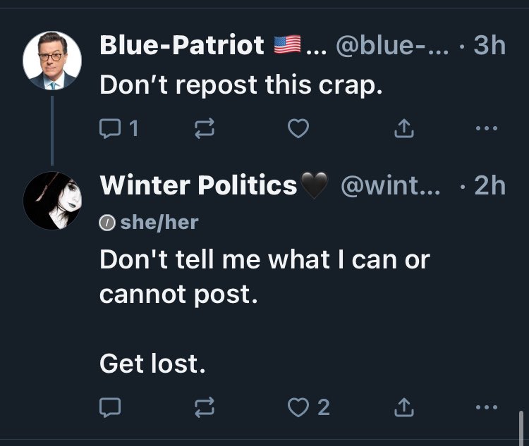 WinterPolitics1's tweet image. All I hear when I read someone say "don't post that, don't post this". Is a literal Karen.