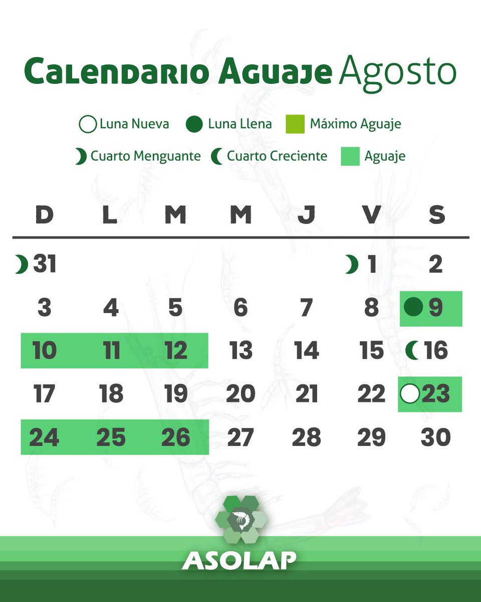 🌊Conoce el calendario Aguaje AGOSTO 2025🦐 Te compartimos las fechas clave de Aguajes para que maximices tus resultados este mes. 💪🏻📅 ¿Listo para este nuevo mes? 🙌🏻​ #Larvicultura #Asolap #Aguaje