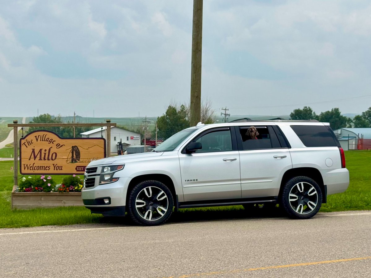 Ryan_the_Spoo's tweet image. Took our first roadtrip in the Hoe… went to the village of Milo and walked around, sniffed some trees… marked some bushes. Hehe. Can you see me barking at my hoo to get back in the truck? #spoo #spooinatruck