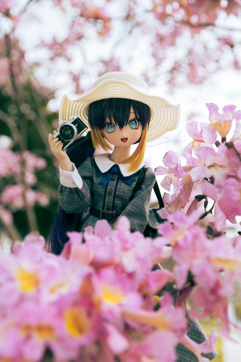 akatsukilemon's tweet image. 🐧📸🌺

#mddはいいぞ #ChocoBanaっ子 #PetraArt