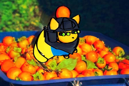 Yum_NoodlesS's tweet image. Oranges.

#DummiesVsNoobs