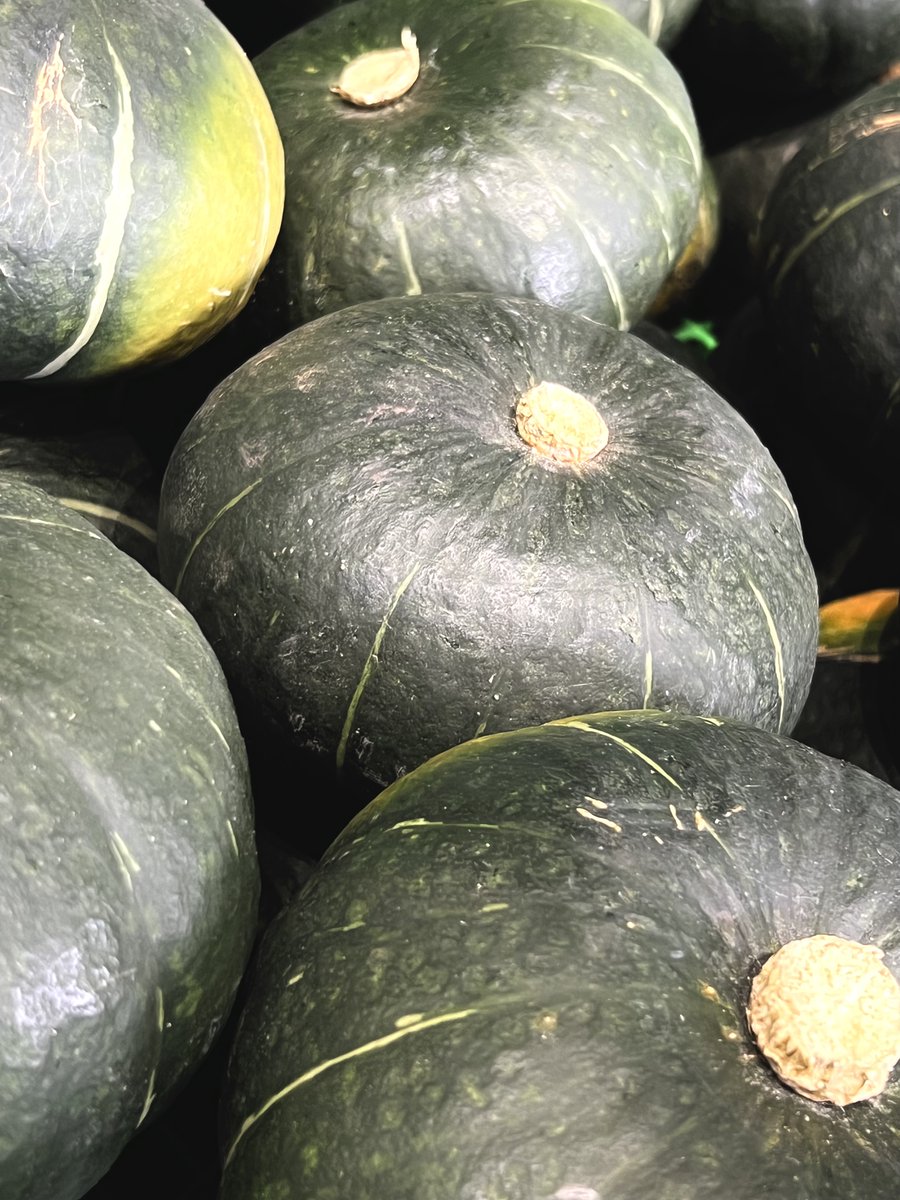 suginami_koho's tweet image. ╋━━━
🥕物産展 #吾妻の朝市 ✨
━━━━╋
#群馬県東吾妻町 で採れた
新鮮な野菜や卵など
特産品を販売します☺
📅7/24(木)10:00~14:00
(売り切れ次第終了)
📍#杉並区役所
中杉通り側入口前
詳しくはこちら⬇️
city.suginami.tokyo.jp/s030/event/210…