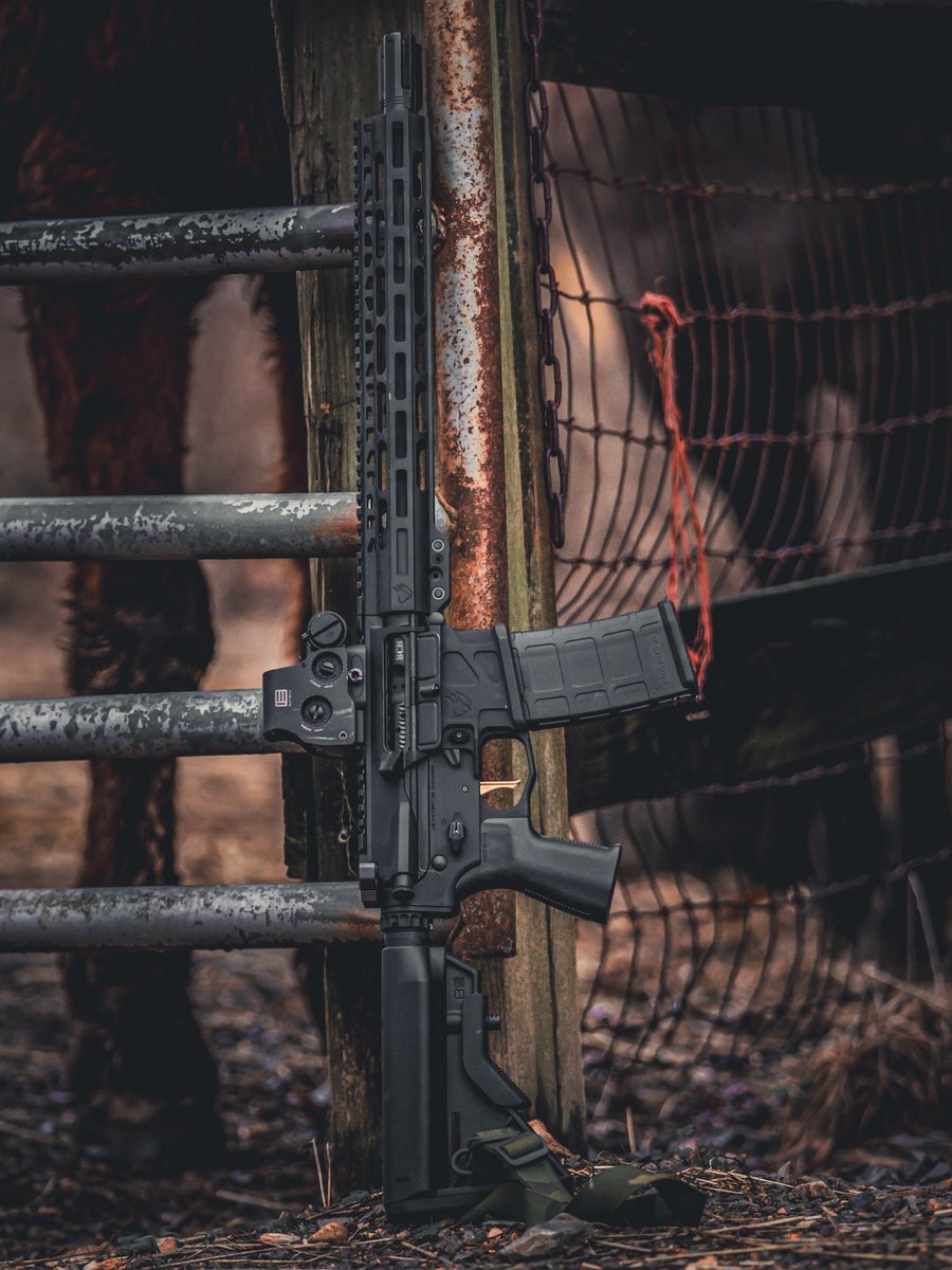 EOTECHInc's tweet image. The right tool, for the right job! Do you guys build your guns to fit a use case?
#EOTECH