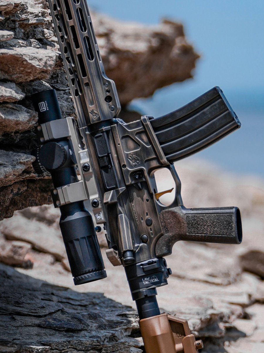 EOTECHInc's tweet image. The right tool, for the right job! Do you guys build your guns to fit a use case?
#EOTECH