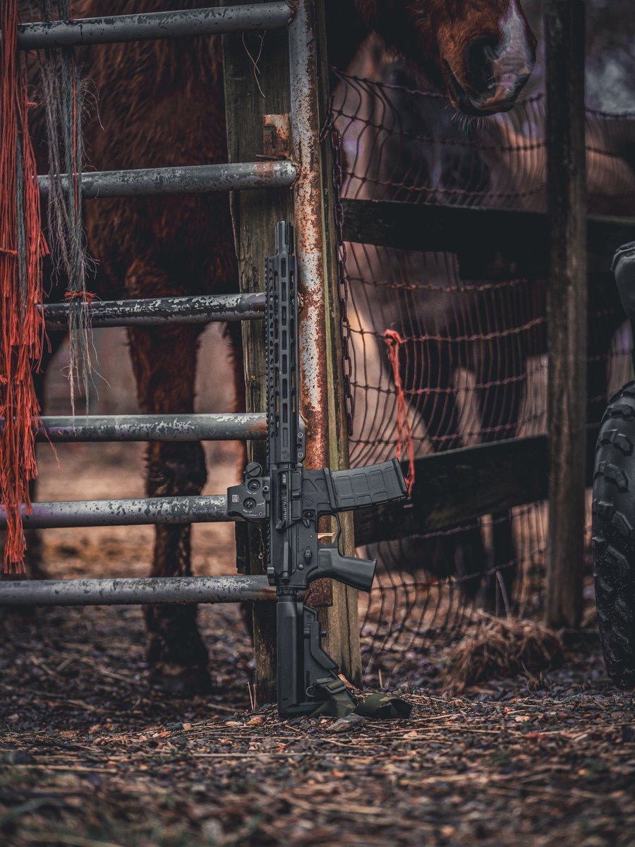 EOTECHInc's tweet image. The right tool, for the right job! Do you guys build your guns to fit a use case?
#EOTECH