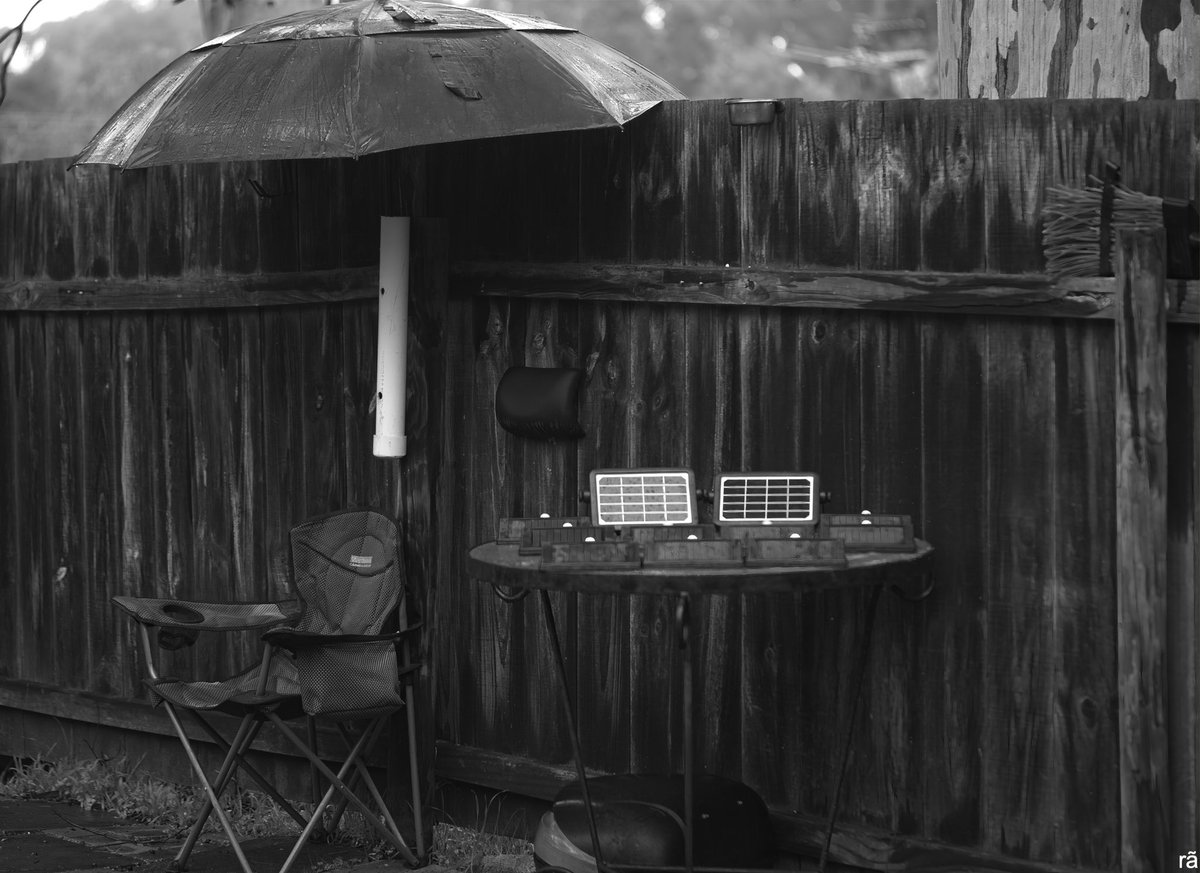 AugustoCos1's tweet image. Tuesday 22 nd, VERY wet morning.