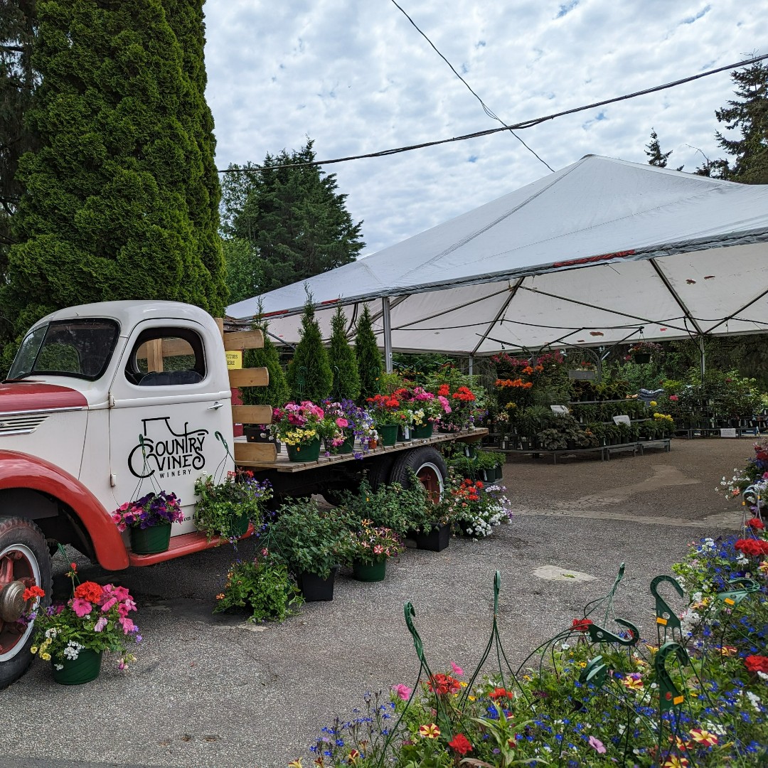 🌱🛒 Discover Richmond’s Local Food Map—the ultimate guide to finding the best farm stands, farmers markets, fresh fish, and local wineries right here in our community! 🍓🐟🍷
bit.ly/4e2itVX 
 #RichmondBC