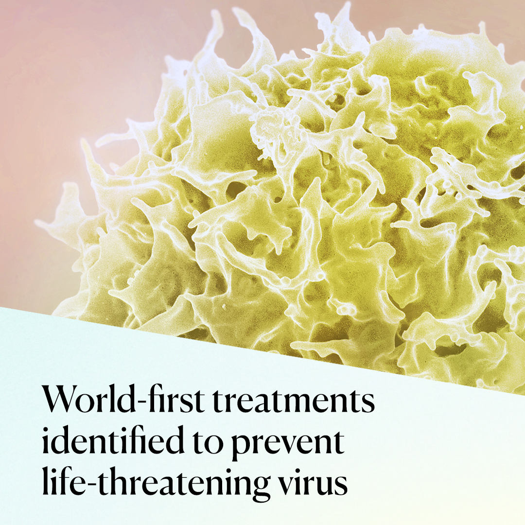WEHI_research's tweet image. Important research led by WEHI and
@TheDohertyInst could unravel the first preventative treatment for HTLV-1 – a virus that infects around 10 million people globally and is endemic in many First Nations communities.
@CellCellPress
wehi.edu.au/news/study-ide…