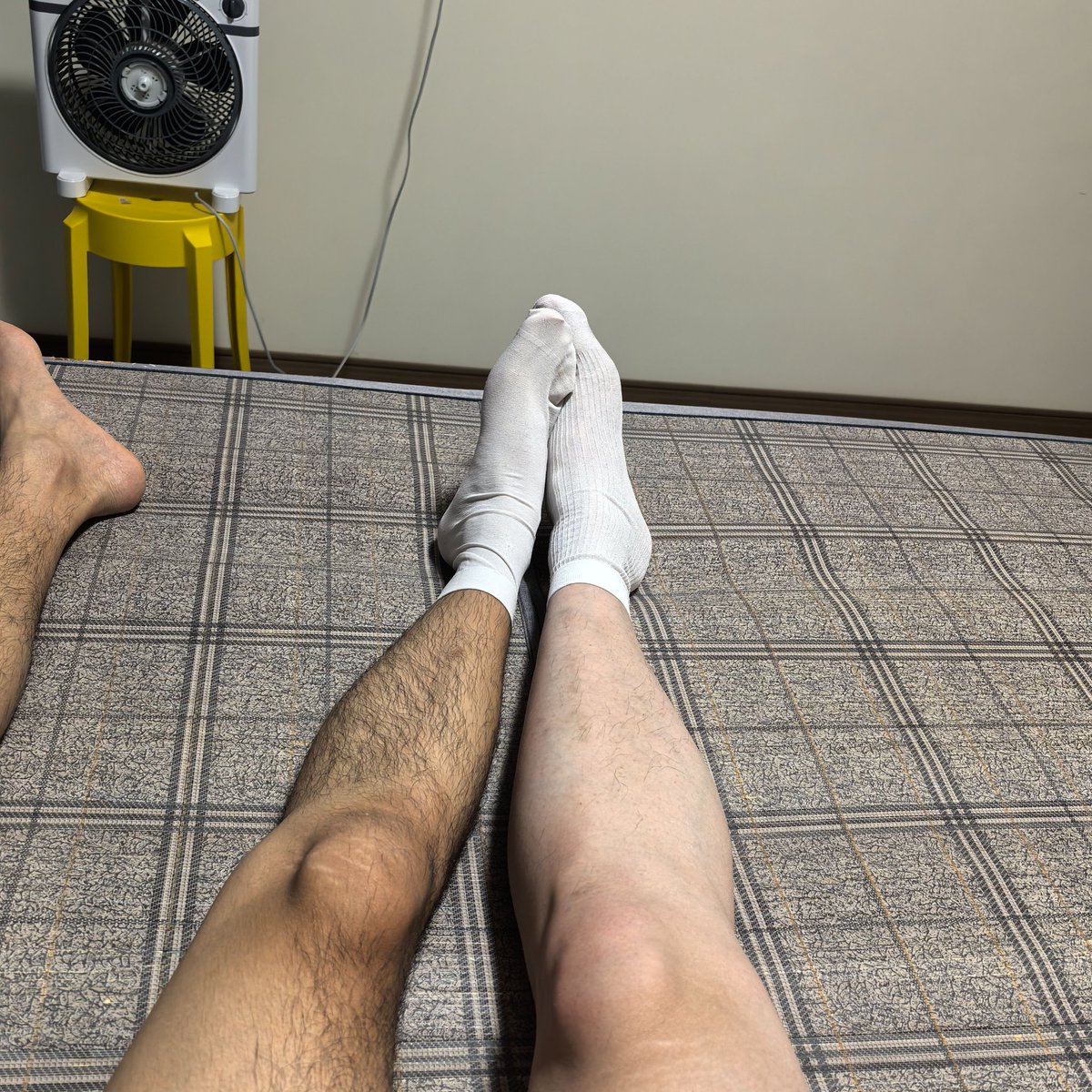 猫儿哥哥 (@sheersocksbaby) on Twitter photo 