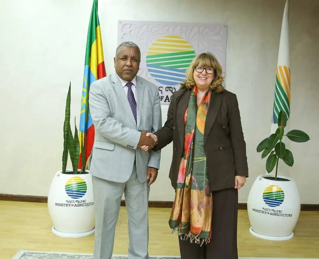SchomakerAstrid's tweet image. Honoured to confer with H.E. Girma Amente, Minister @MoA_Ethiopia today in Addis Ababa.
We discussed biodiversity initiatives by the Ethiopian government, including the Green Legacy Initiative and the “Conservation Plus” programme--which underpin the implementation of the #KMGBF