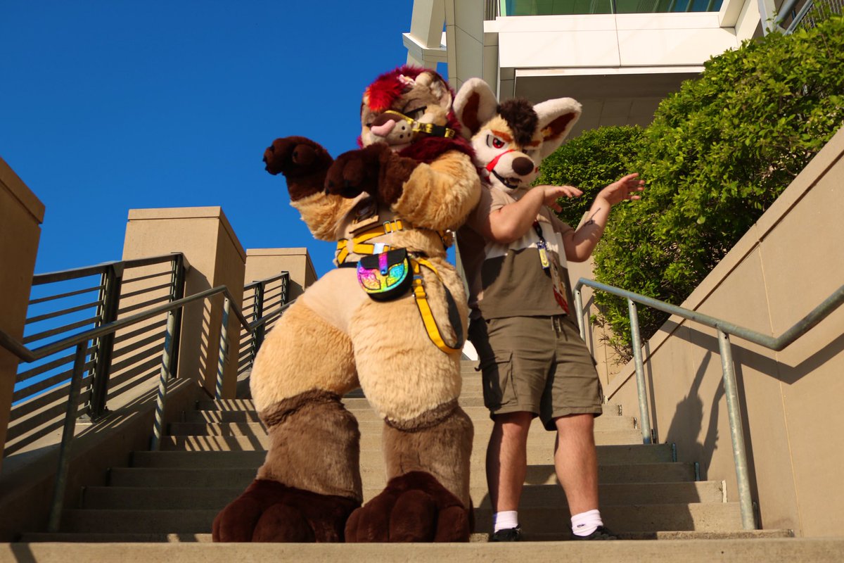 Kai! Woof @ FE tweet media