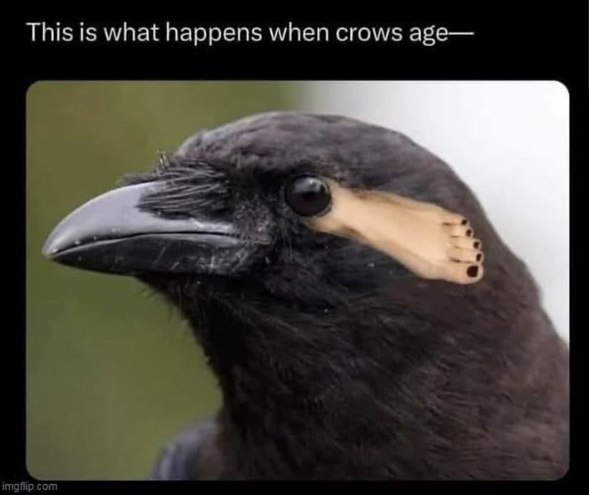 improvguy11's tweet image.