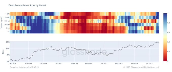 Bitcoin headmap update!