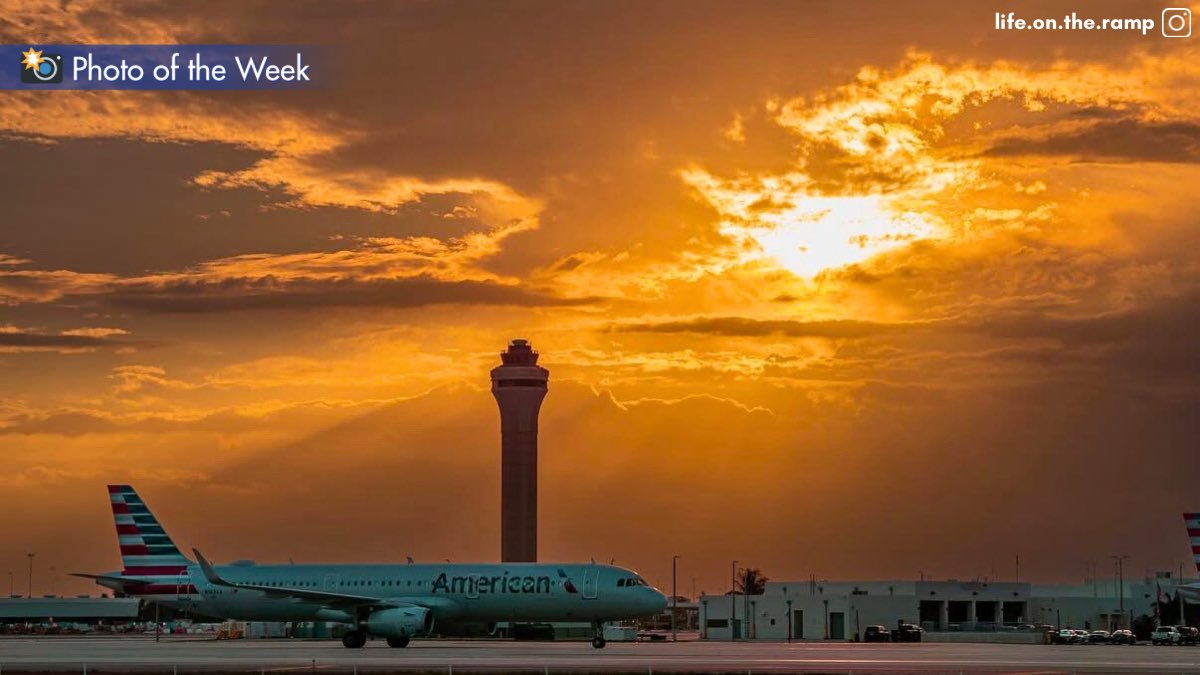 iflymia's tweet image. Nature’s perfect reminder that brighter days are ahead! ☀ #MIABestPic