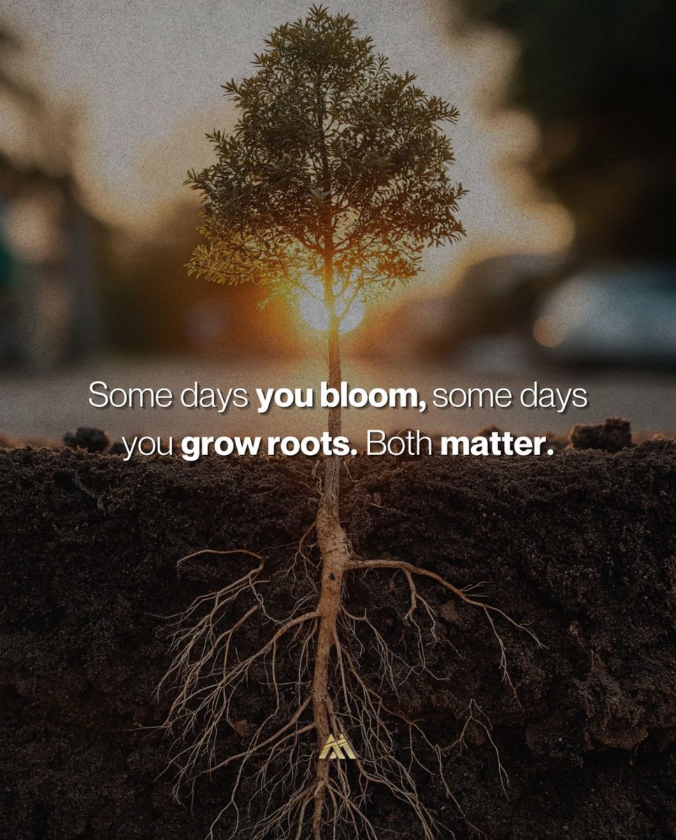 iamfearlesssoul's tweet image. 