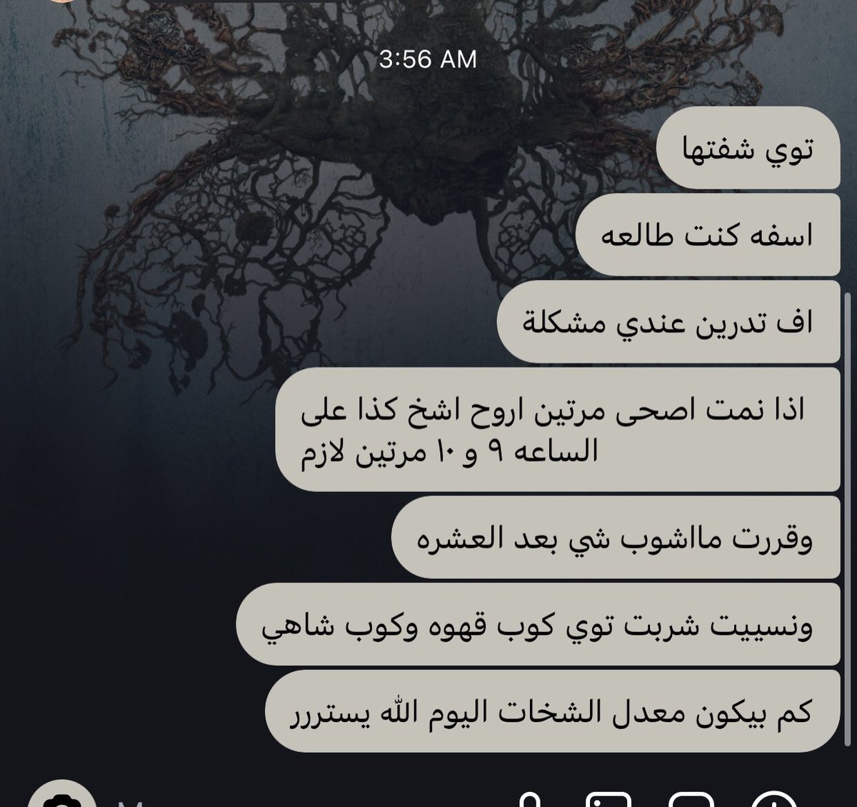 دودو tweet media
