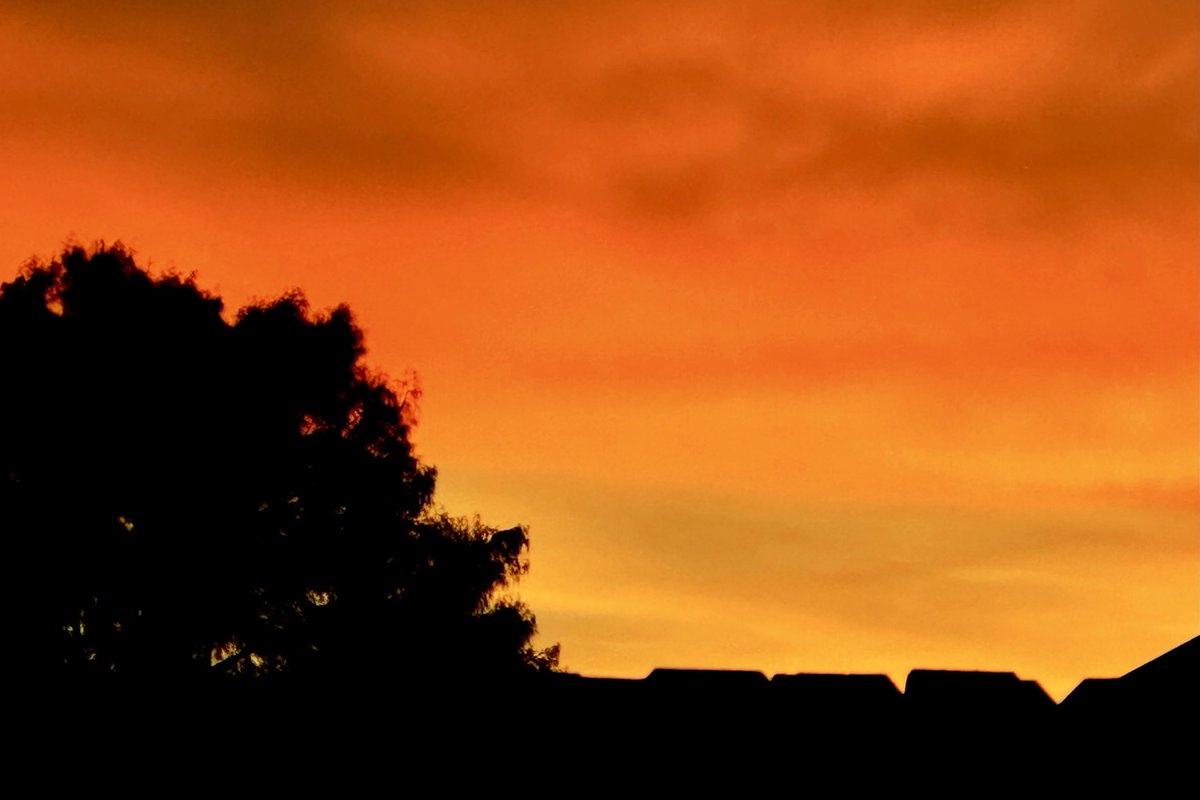 PMurphyWWL's tweet image. Pretty sunset tonight in NOLA. ⁦@WWLTV⁩