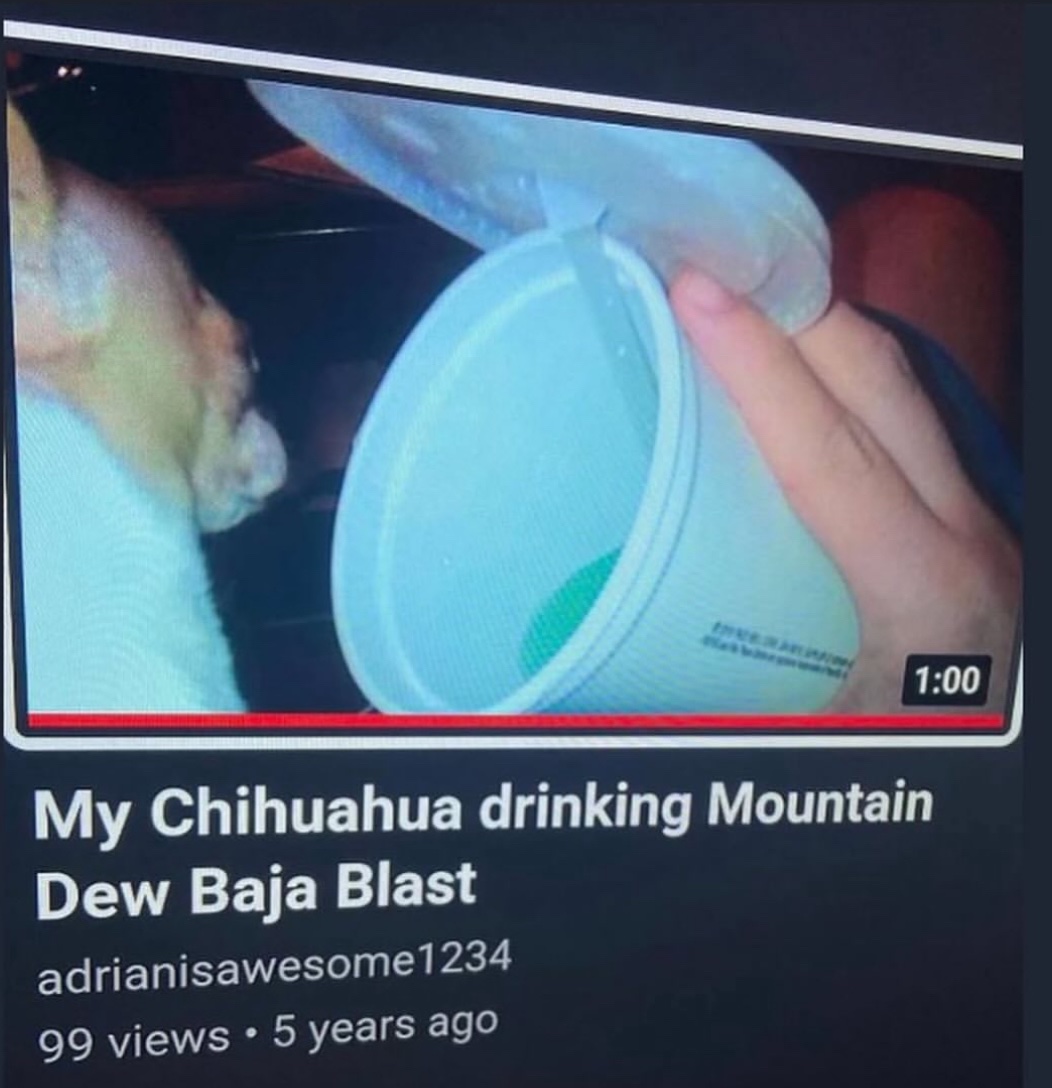 Images AI Could Never Recreate (@imagesaicouldnt) on Twitter photo 