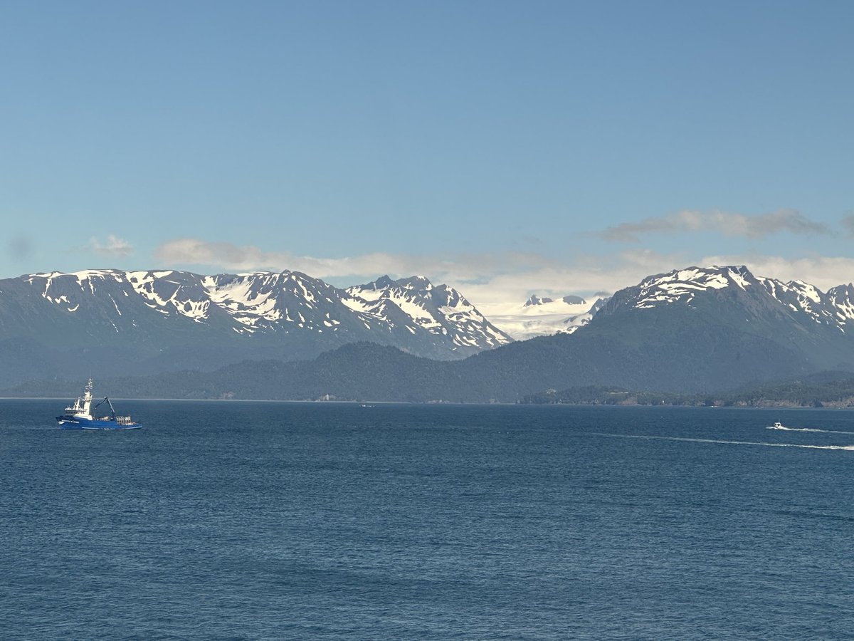 ElizaWallace27's tweet image. Lots of snow around Homer, Alaska. Pretty, but even with lots of sunshine… chilly. #cruiselife #solotravel #homeralaska #vvr