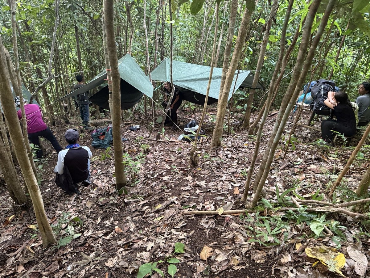 Ponteland High tweet media