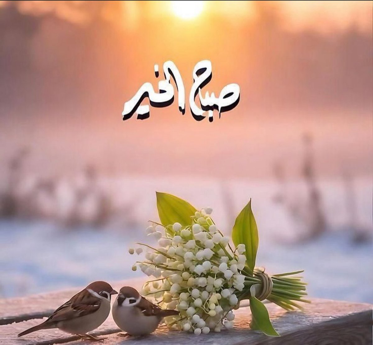 الغلا💙 tweet media