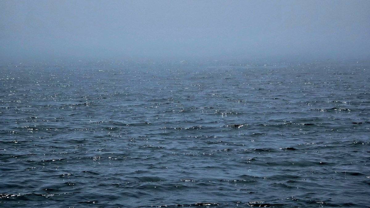 MailboatN's tweet image. Mondays are always heavy freight days. Today, I was mailboat'n in the fog as well. Well, mostly in the fog anyway...
Today's pictures are all about the fog.