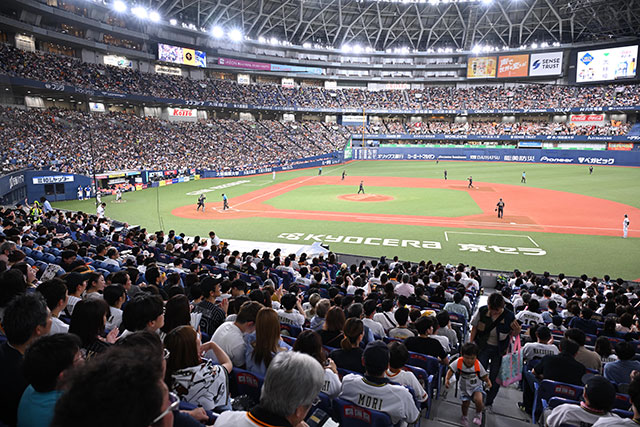 オリックス・バファローズ - マイナビ オールスター ゲーム 2025 試合球 京セラドーム大阪 公式球 マイナビオールスターゲーム2025 試合球（京セラドーム大阪