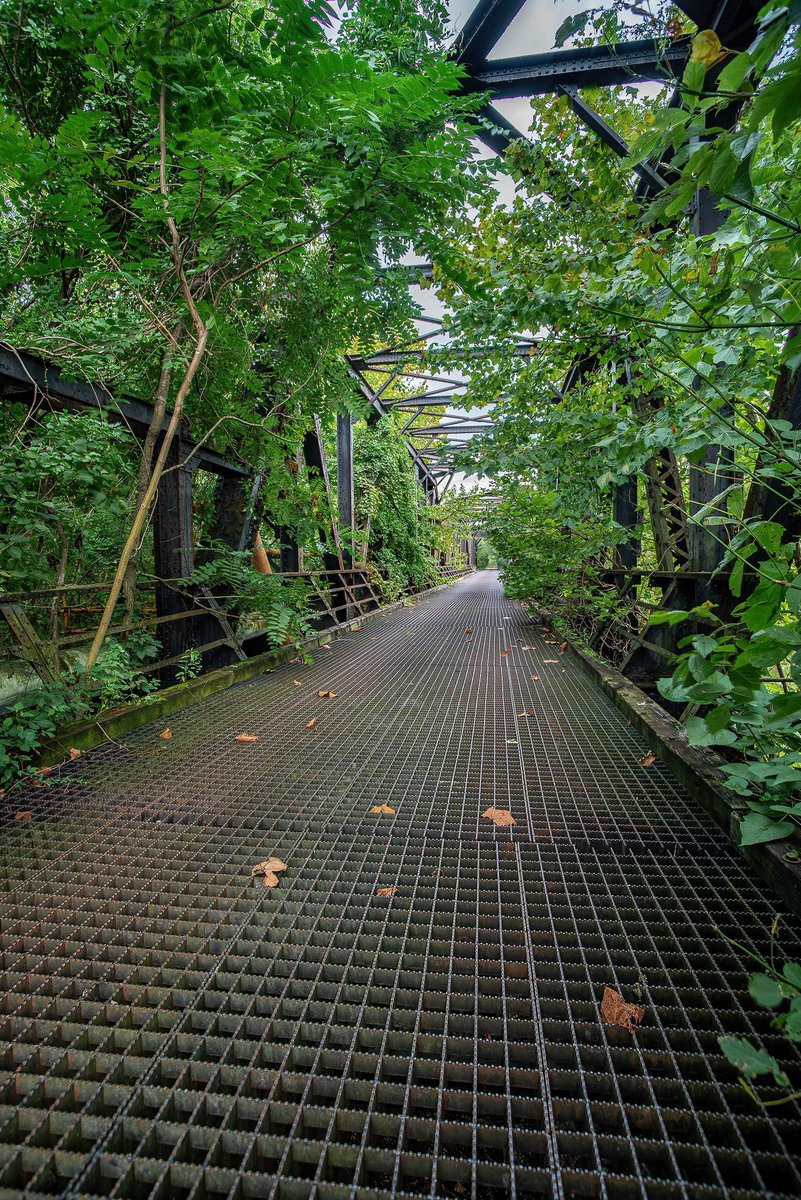 ExploresMr's tweet image. Mother Nature gently begins her retaking of this still-functional old steel bridge over the Mahoning River, that once belonged to a local Youngstown steel mill.