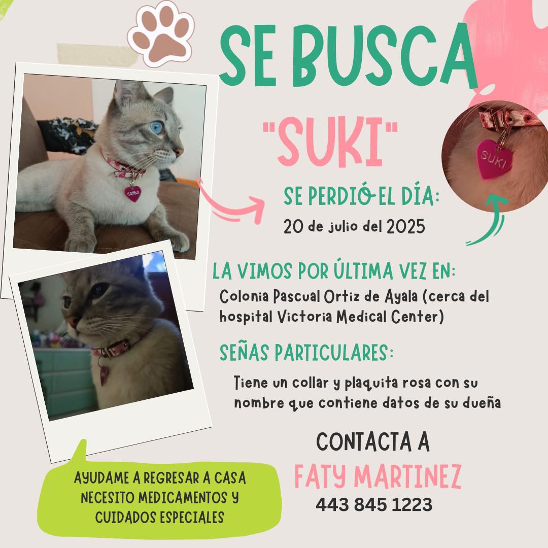 PostData_News's tweet image. Solicitamos de su apoyo para localizar a “Suky”, quien fue vista por última vez el 20 de julio del 2025, en la colonia Pascual Ortiz de Ayala, cerca del hospital Victoria Medical Center.
#postdatanews