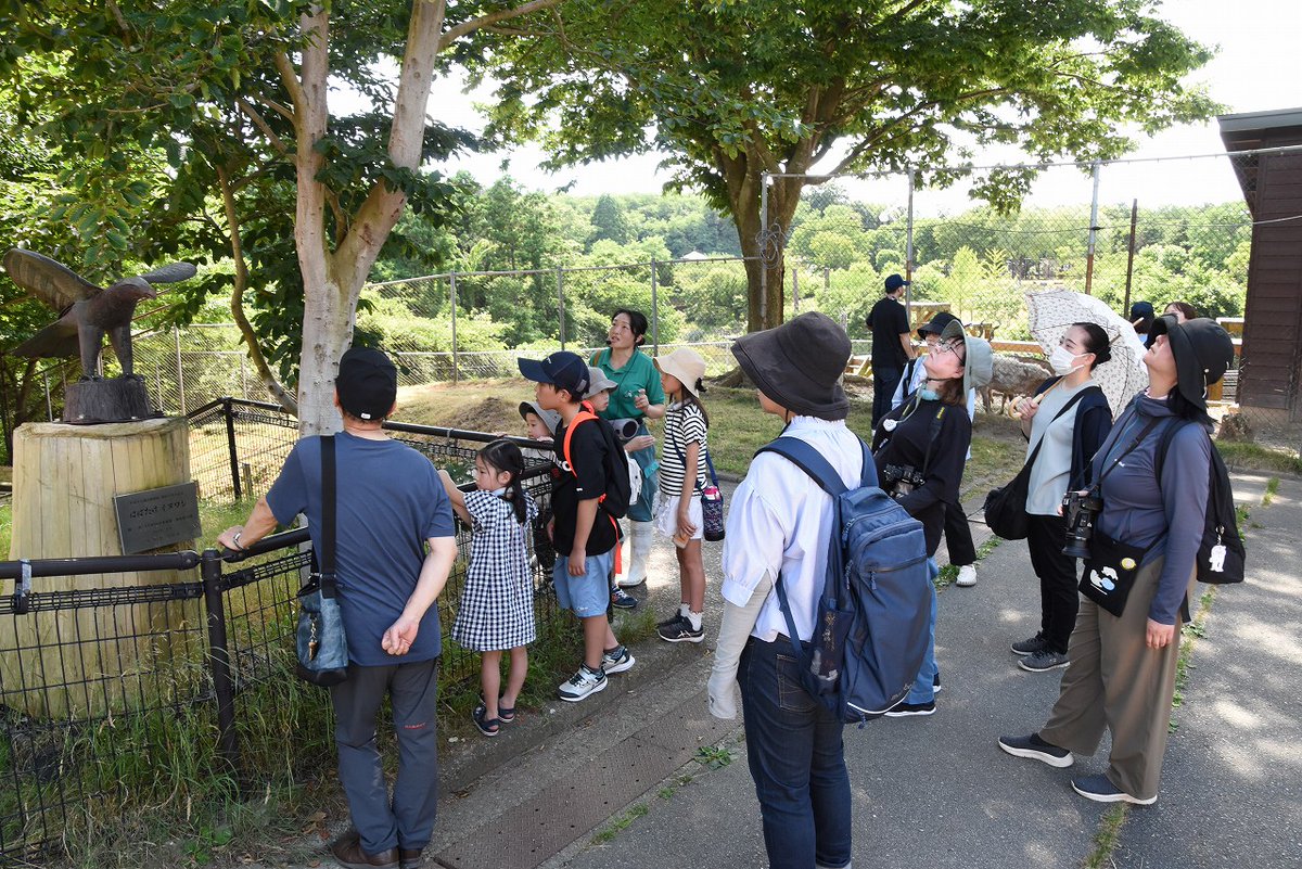 omoriyama_zoo's tweet image. 【第24回大森山自然塾を開催しました】
#カミキリムシ をテーマに7月19日に開催しました。生態などを解説した後、園内にある木を観察しカミキリムシがいる木の特徴を学びました。また、カミキリムシが関わる松枯れや外来種などの問題についても解説し理解を深めました。
