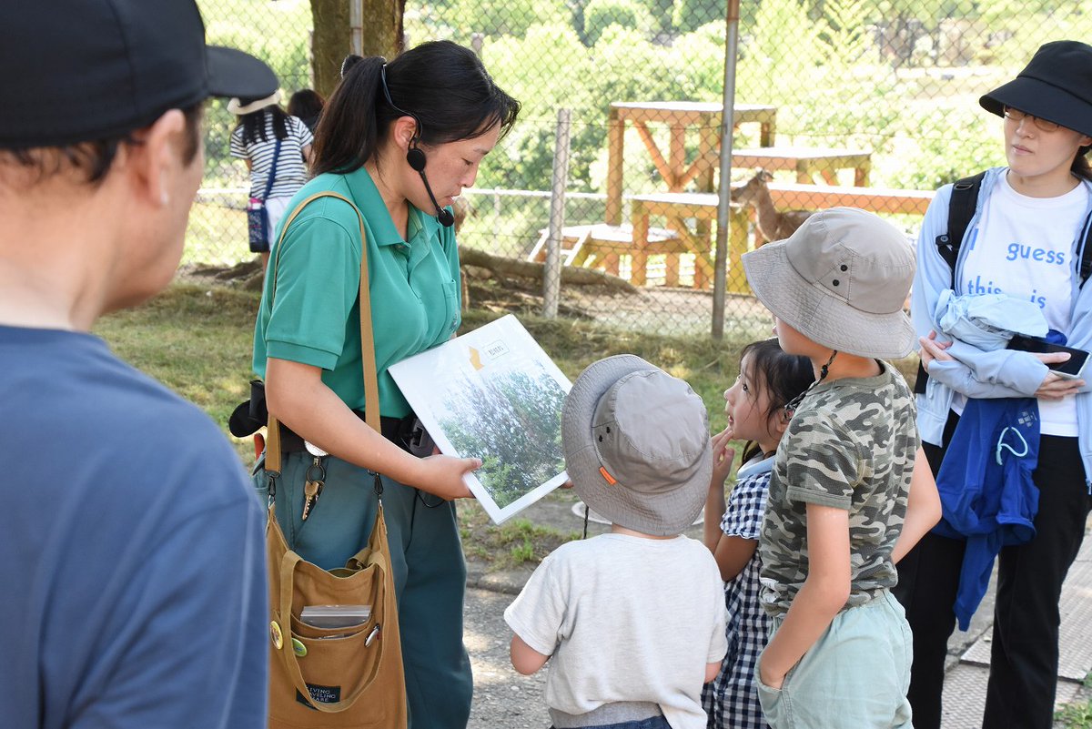 omoriyama_zoo's tweet image. 【第24回大森山自然塾を開催しました】
#カミキリムシ をテーマに7月19日に開催しました。生態などを解説した後、園内にある木を観察しカミキリムシがいる木の特徴を学びました。また、カミキリムシが関わる松枯れや外来種などの問題についても解説し理解を深めました。