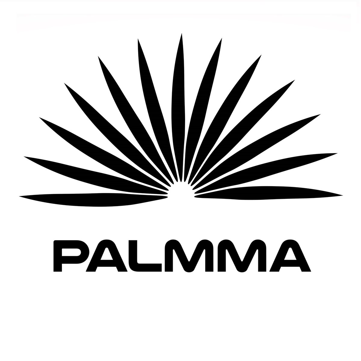 PalmmaGroup's tweet photo. https://t.co/GevsO96Y44 https://t.co/R1P7iwg6y7