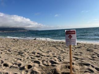 LACoLifeguards's tweet image. Confirmed shark sighting at Ruby in Redondo Beach. Beach remains closed from 1 mile of Ruby Lifeguard Tower. @LACoLifeguards remain on scene. Please report any sightings to the Lifeguards.