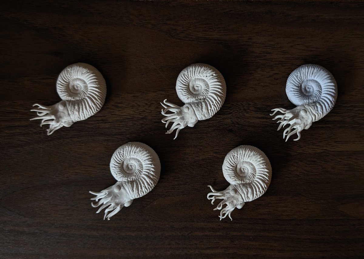 _Archesuchus_'s tweet image. The squadron of squibbles is forming...
(Shells are casts of a real fossil)