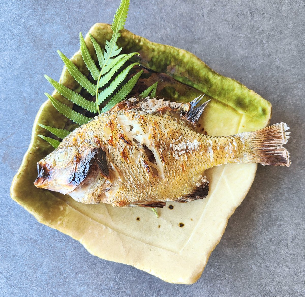 tuna_suma's tweet image. ギルの塩焼き
身がぎゅっとして旨い