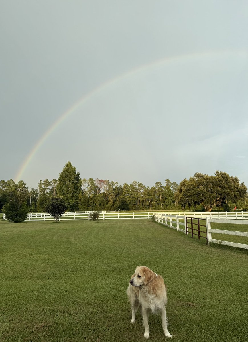 catturd2's tweet image. What a picture of Monkey and the rainbow at the Catturd Ranch.. WOW.