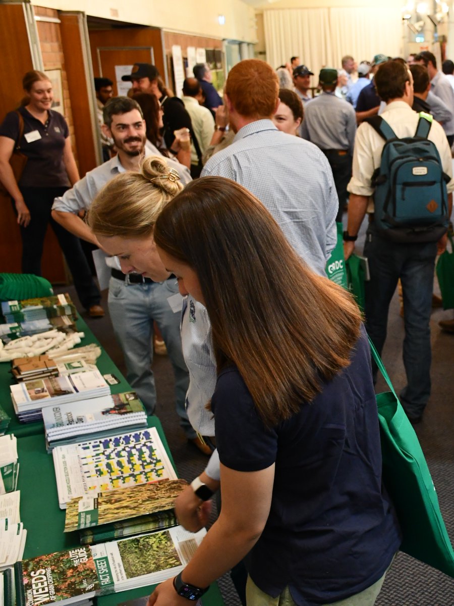 theGRDC's tweet image. 🎫 Registrations are open for our one-day Grains Research Updates in NSW & QLD - bringing insights tailored to what matters most for local growers.
📍 We’re headed to #TottenhamNSW, #Coonamble, #WellingtonNSW, #Dalby, #Westmar, #Moree & #SpringRidge.
Full story:…
