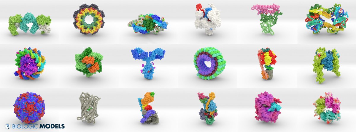 BiologicModels's tweet image. Biologic Models creates custom 3D printed protein models. Submit a #3Dprint request and work with our visualization scientist to create your 1-of-a-kind custom 3D-printed protein model. buff.ly/CxPQ1i0