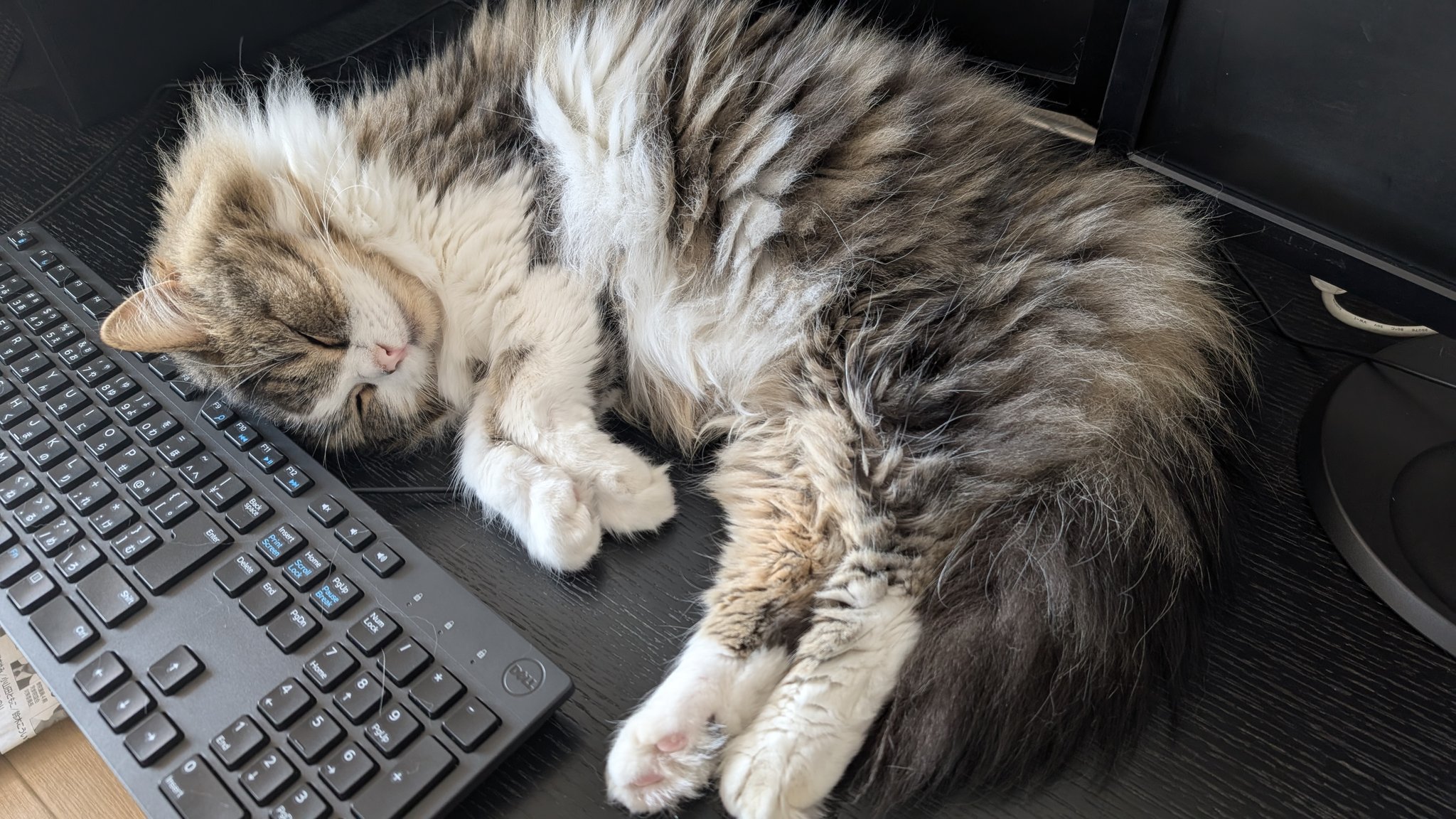 スコまる。 (@sucomaru0522) / X