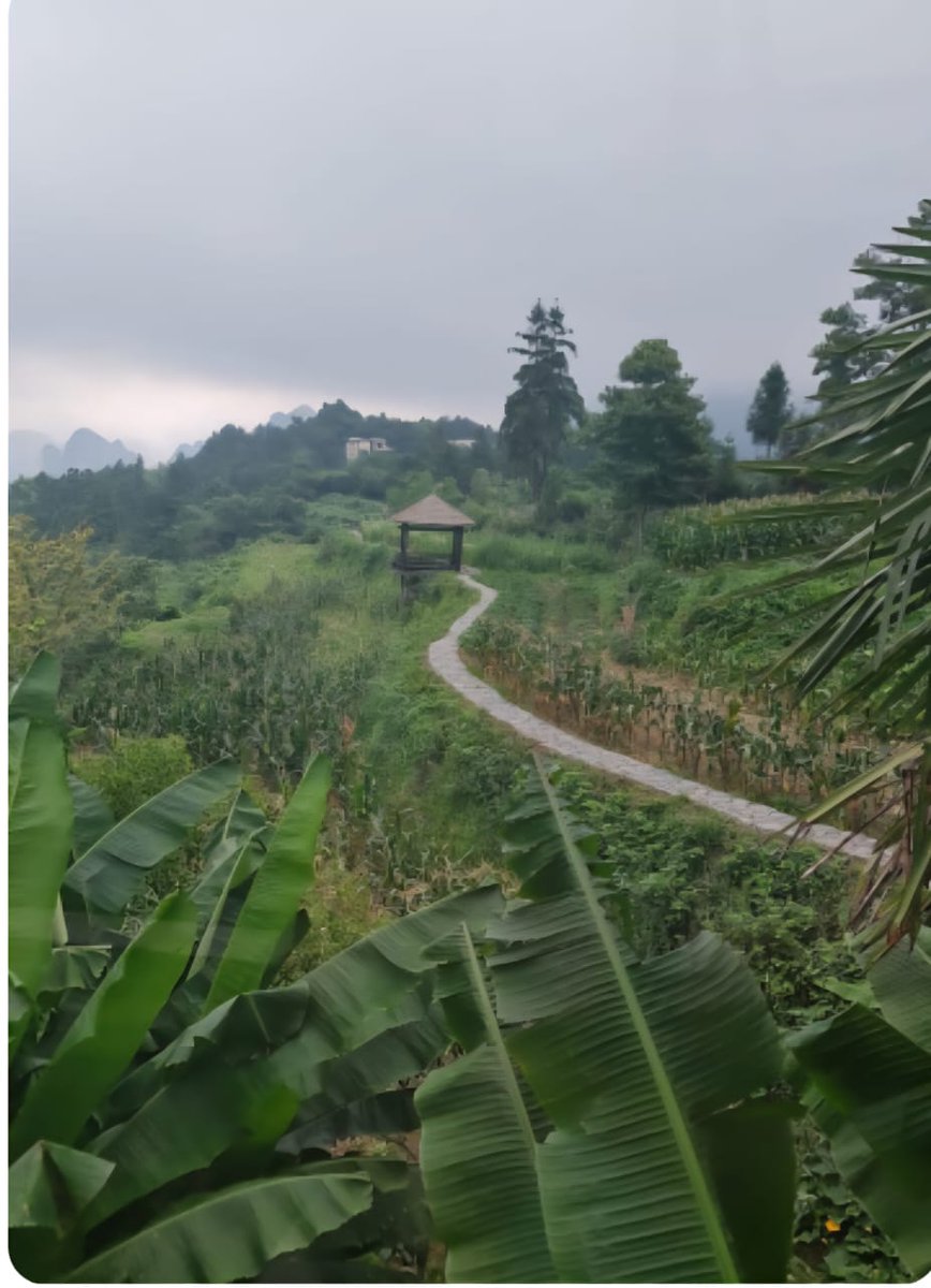 اسعدكم الله بلطفه وانار طريقكم برحمته واختصكم بمحبته ووسع رزقكم بتوفيقه ورعاكم في الدارين بعنايته وغفر الله لكم ولوالديكم واهلكم ومن تحبون وجعل العافيه لباسكم والمغفره ستركم والسعاده طريقكم والقرآن رفيقكم في الدنيا والآخرة ،، وحفظكم من كل سوء.
   اللهم امين
🌴صباح الخير🌴