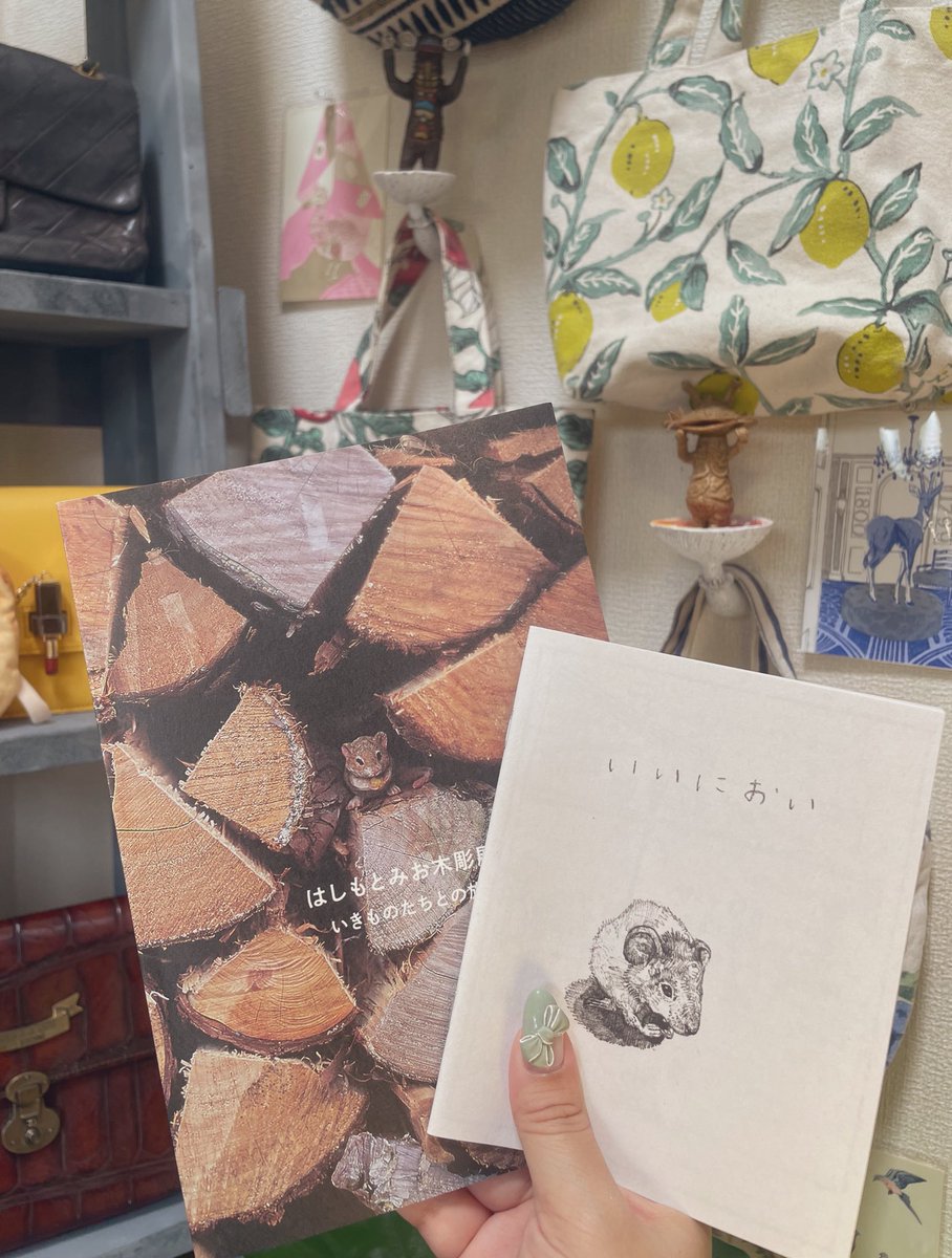 caperin_77's tweet image. 写真一生懸命撮ってたけどこれに全部可愛く載ってました!絵本付き買った📕ウルトラ怪獣2も無事コンプして特に好きなカネゴンとギャンゴはよく通るここに。