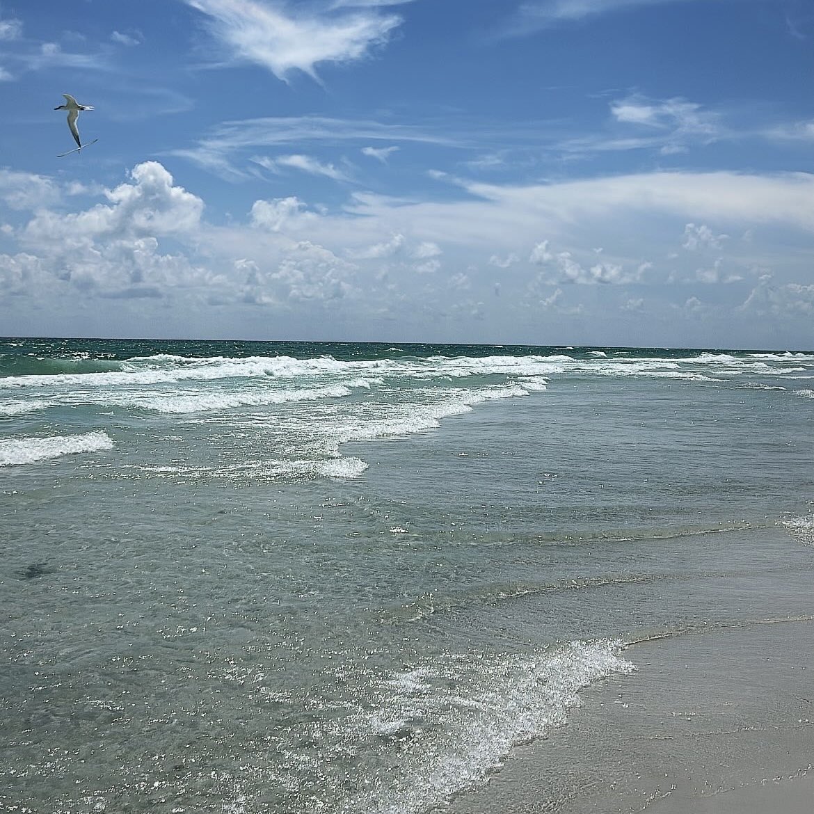 JasonCurry's tweet image. The perfect day.