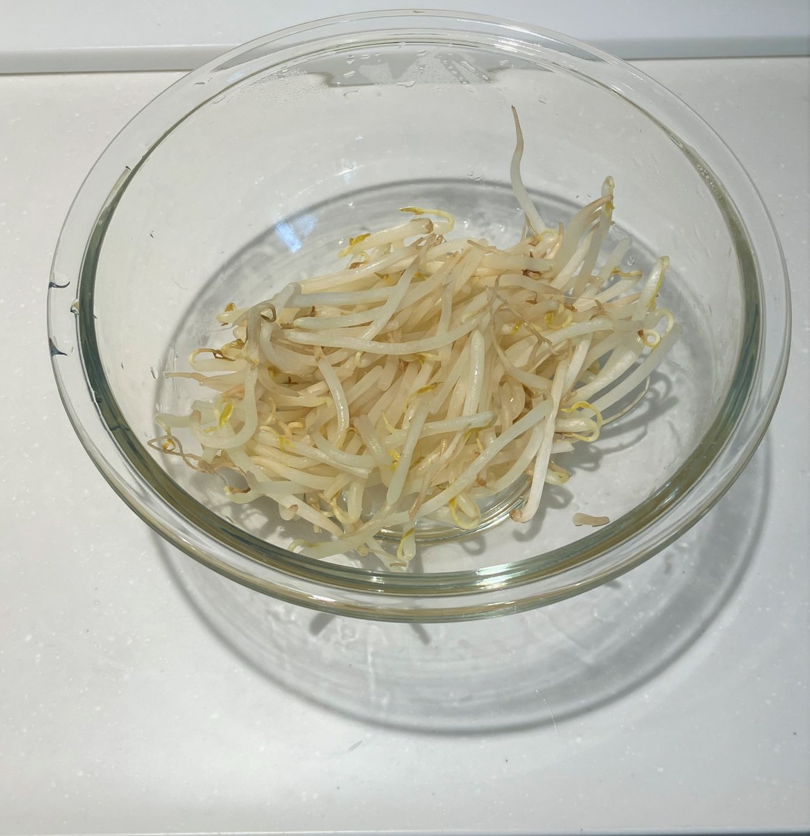 zennoh_food's tweet image. 時短でおいしい!キュウリ、もやし、ツナのナムルがおすすめです。
もやしを耐熱容器に入れ、レンジで600W2分加熱。キュウリを斜めに切り、調味料(酢小さじ1、ごま油小さじ1、しょうゆ小さじ2/3、鶏がらスープの素小さじ1/3)、ツナを混ぜるだけ✨さっぱりして食べやすい常備菜にもいかがでしょうか。