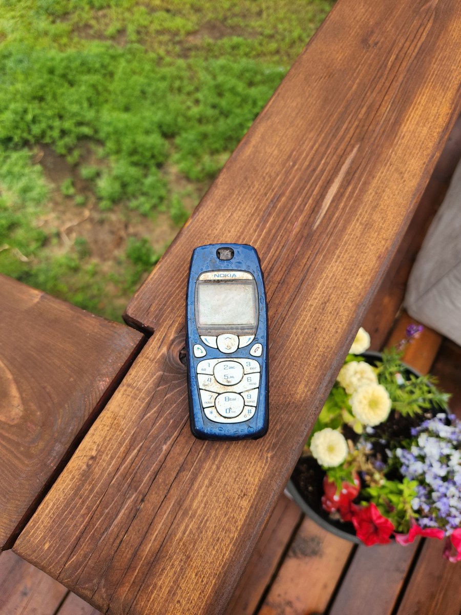 DJpowers69's tweet image. A friend just found this prehistoric relic while digging for gold in his yard.
What is it?
